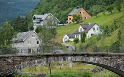 Styreansvar i velforeninger