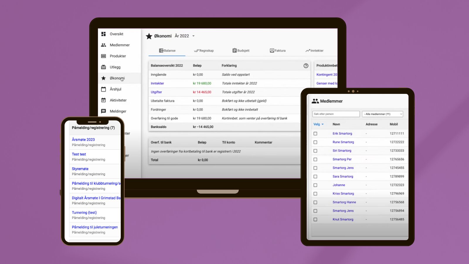 Produktvisning digital Smartorg på mobil - pc -nettbrett - 100% responsiv - skubaskert web applikasjo