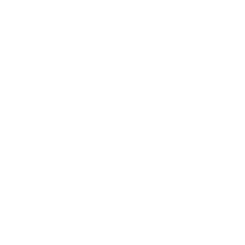 Noen foreninger bruker revisor, så det har SmartOrg løsning for
